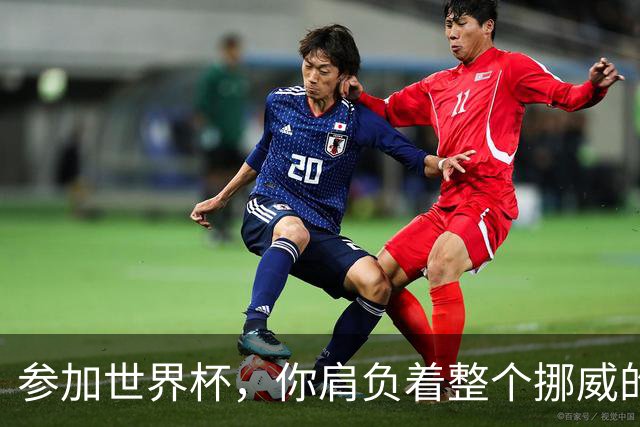 参加世界杯，你肩负着整个挪威的期望！哈兰德：我喜欢这样
